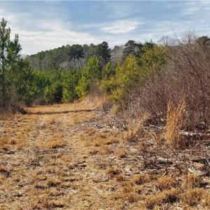 Photo #17 of 420 Tuckertown, New London, NC 142.5 acres