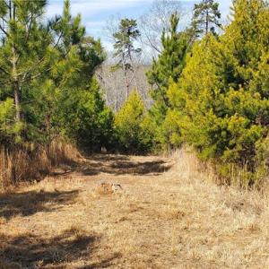 Photo #16 of 420 Tuckertown, New London, NC 142.5 acres