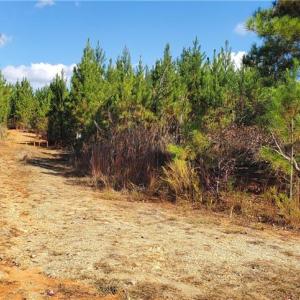 Photo #1 of 420 Tuckertown, New London, NC 142.5 acres