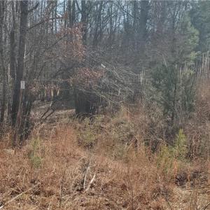 Photo #24 of 420 Tuckertown, New London, NC 142.5 acres