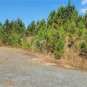 Photo #10 of 420 Tuckertown, New London, NC 142.5 acres