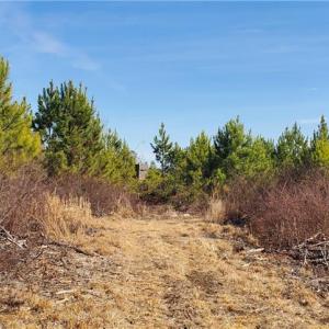 Photo #19 of 420 Tuckertown, New London, NC 142.5 acres