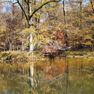 Photo #8 of 420 Tuckertown, New London, NC 142.5 acres