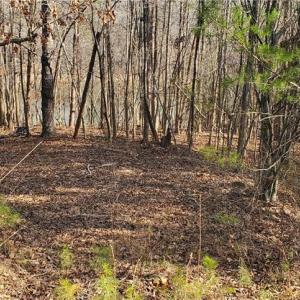 Photo #25 of 420 Tuckertown, New London, NC 142.5 acres