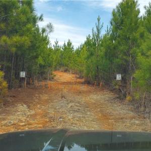 Photo #21 of 420 Tuckertown, New London, NC 142.5 acres