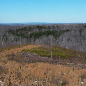 Photo #2 of Valley Level, Reidsville, NC 19.3 acres