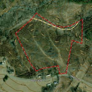 Photo #13 of Valley Level, Reidsville, NC 19.3 acres