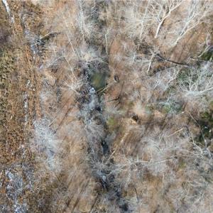 Photo #7 of Valley Level, Reidsville, NC 19.3 acres