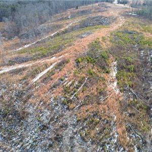 Photo #5 of Valley Level, Reidsville, NC 19.3 acres