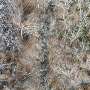 Photo #9 of Valley Level, Reidsville, NC 19.3 acres