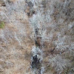 Photo #11 of Valley Level, Reidsville, NC 19.3 acres