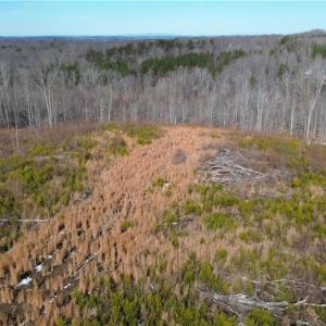 Photo #4 of Valley Level, Reidsville, NC 19.3 acres