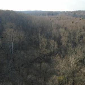 Photo #23 of Reynolda, Pfafftown, NC 13.1 acres