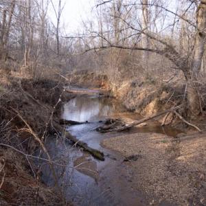 Photo #6 of Reynolda, Pfafftown, NC 13.1 acres