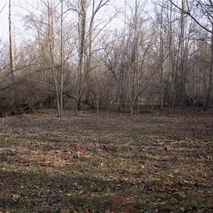 Photo #13 of Reynolda, Pfafftown, NC 13.1 acres