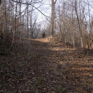 Photo #17 of Reynolda, Pfafftown, NC 13.1 acres