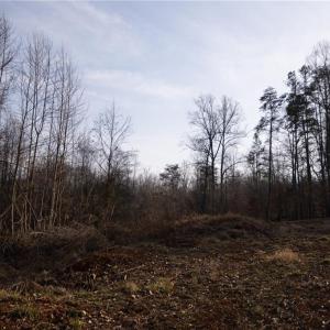 Photo #16 of Reynolda, Pfafftown, NC 13.1 acres