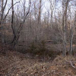 Photo #12 of Reynolda, Pfafftown, NC 13.1 acres