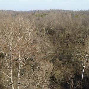 Photo #3 of Reynolda, Pfafftown, NC 13.1 acres