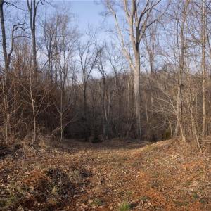 Photo #5 of Reynolda, Pfafftown, NC 13.1 acres