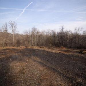 Photo #9 of Reynolda, Pfafftown, NC 13.1 acres