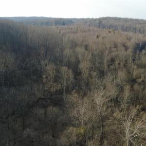 Photo #24 of Reynolda, Pfafftown, NC 13.1 acres