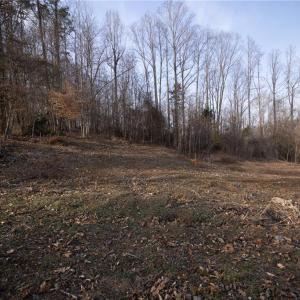 Photo #10 of Reynolda, Pfafftown, NC 13.1 acres