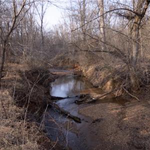 Photo #18 of Reynolda, Pfafftown, NC 13.1 acres