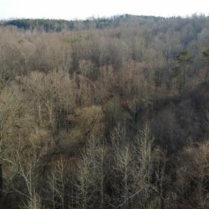 Photo #15 of Reynolda, Pfafftown, NC 13.1 acres