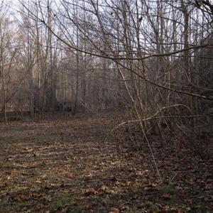 Photo #19 of Reynolda, Pfafftown, NC 13.1 acres