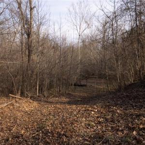 Photo #8 of Reynolda, Pfafftown, NC 13.1 acres