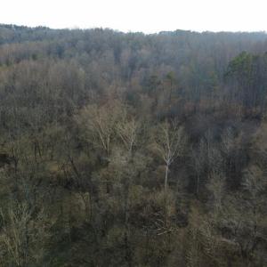 Photo #21 of Reynolda, Pfafftown, NC 13.1 acres