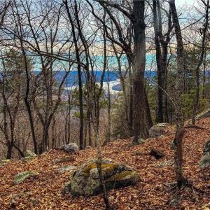 Photo #6 of 1026 Sierra Trace, Denton, NC 4.7 acres