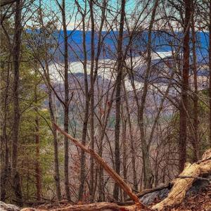 Photo #13 of 1026 Sierra Trace, Denton, NC 4.7 acres