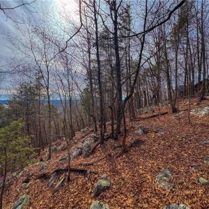 Photo #12 of 1026 Sierra Trace, Denton, NC 4.7 acres