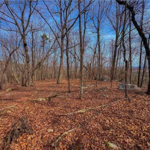Photo #5 of 1026 Sierra Trace, Denton, NC 4.7 acres
