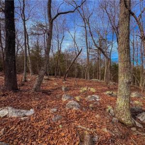 Photo #9 of 1026 Sierra Trace, Denton, NC 4.7 acres