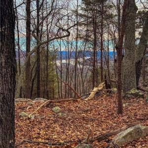 Photo #14 of 1026 Sierra Trace, Denton, NC 4.7 acres