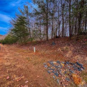 Photo #15 of 1026 Sierra Trace, Denton, NC 4.7 acres