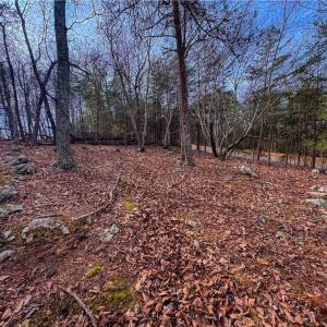 Photo #4 of 1026 Sierra Trace, Denton, NC 4.7 acres