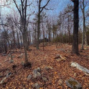 Photo #8 of 1026 Sierra Trace, Denton, NC 4.7 acres