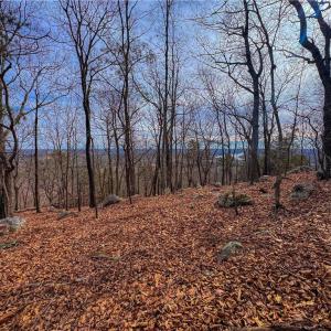 Photo #7 of 1026 Sierra Trace, Denton, NC 4.7 acres