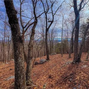 Photo #10 of 1026 Sierra Trace, Denton, NC 4.7 acres