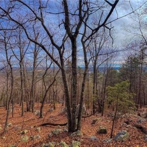 Photo #11 of 1026 Sierra Trace, Denton, NC 4.7 acres