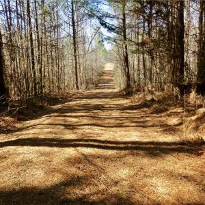 Farm road leading to fields 3-4