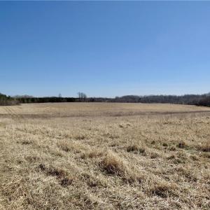 Field 2 additional view and farm road