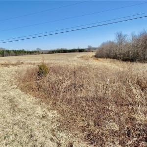 Field 2 at the front right property corner