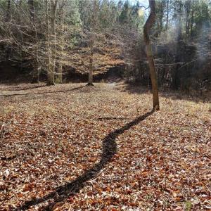 Area near the Haw River