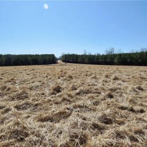 Field 1 additional view