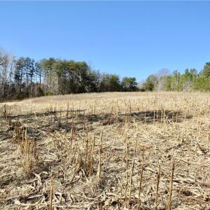 Field 3 additional view